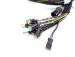 Meyer 22696 Super V Plow Side Harness Coil Plugs